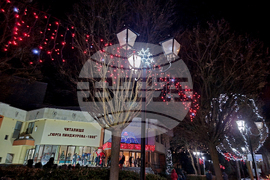 Трън - коледна елха - запалване на светлините