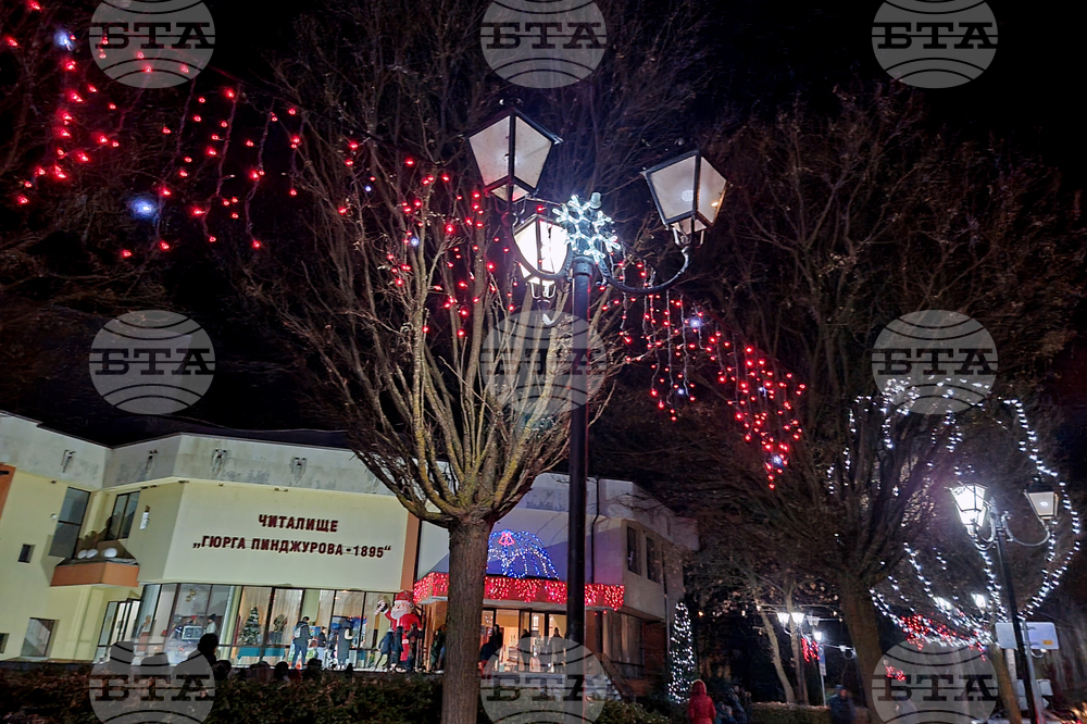 Трън - коледна елха - запалване на светлините