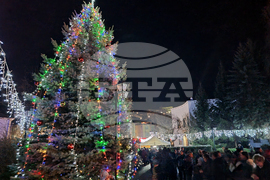 Трън - коледна елха - запалване