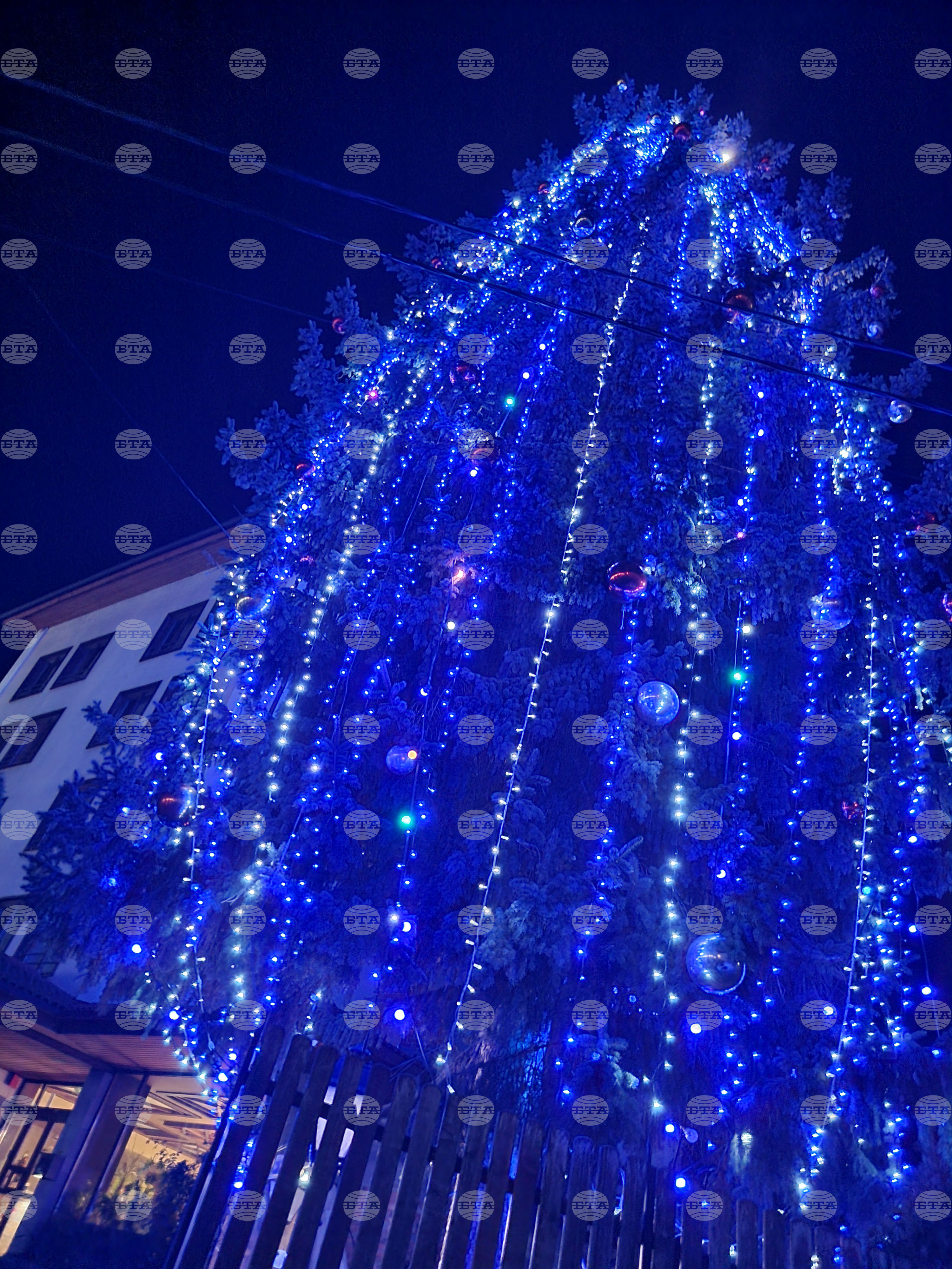 Трън - коледна елха - запалване