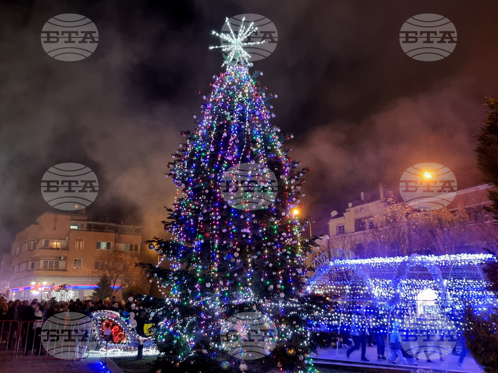 Сливен - коледна елха