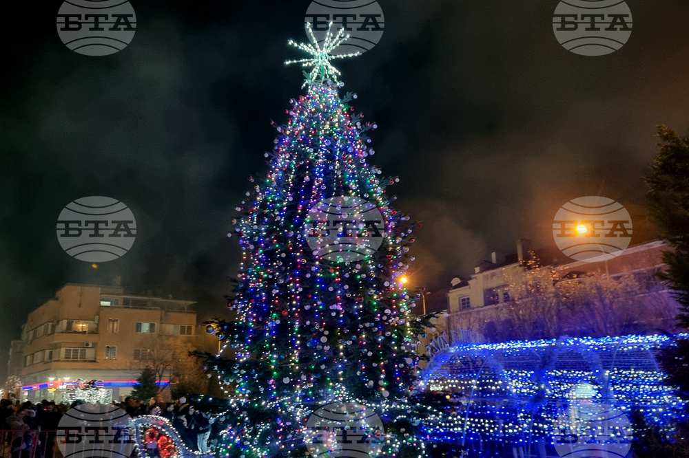 Сливен - коледна елха