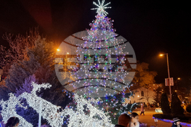 Сливен - коледна елха