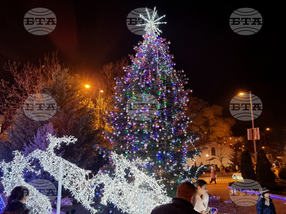 Сливен - коледна елха