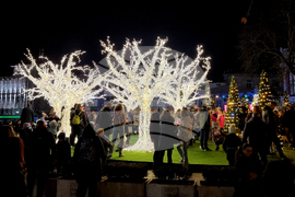 Варна - градска елха - празник