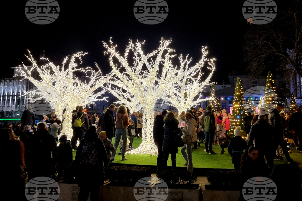 Варна - градска елха - празник