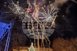 Варна - градска елха - празник