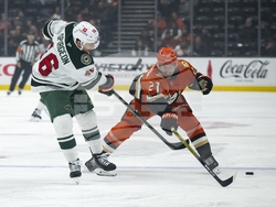 Wild Ducks Hockey