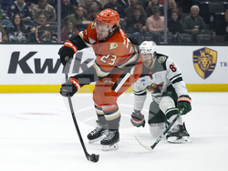 Wild Ducks Hockey