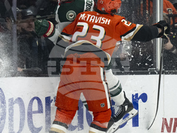 Wild Ducks Hockey