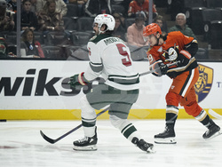 Wild Ducks Hockey