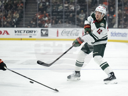 Wild Ducks Hockey
