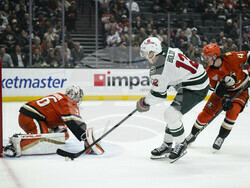 Wild Ducks Hockey