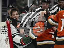 Wild Ducks Hockey