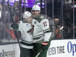 Wild Ducks Hockey