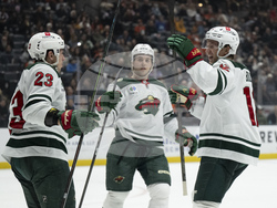 Wild Ducks Hockey