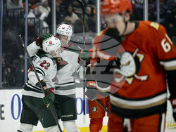Wild Ducks Hockey