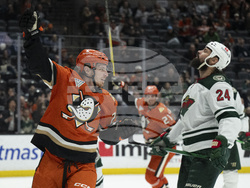 Wild Ducks Hockey