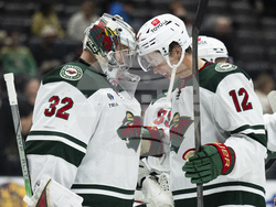 Wild Ducks Hockey