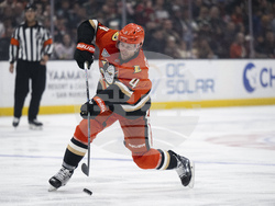 Wild Ducks Hockey