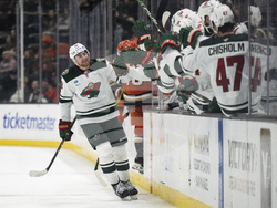 Wild Ducks Hockey