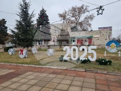 Гулянци - коледна украса - празници