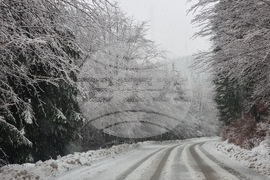 Кюстендил - Откриване на ски сезона в Осоговската планина