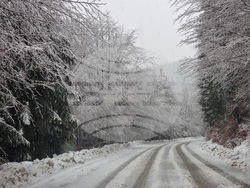 Кюстендил - Откриване на ски сезона в Осоговската планина