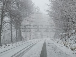 Кюстендил - Откриване на ски сезона в Осоговската планина