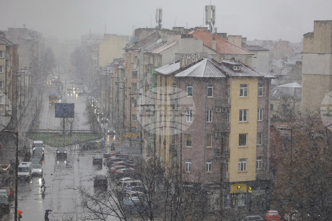 На територията на София започна извършването на първи обработки на улици и булеварди със смеси срещу заледяване 