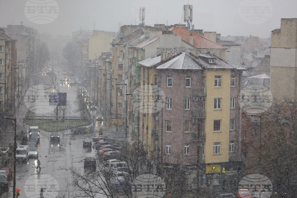 София - сняг - зима - ежедневие
