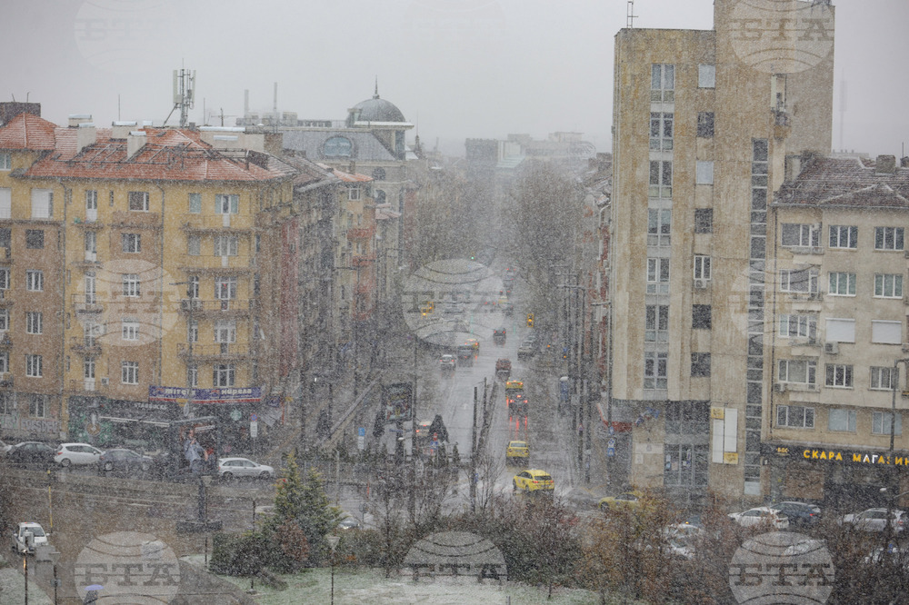 София - сняг - зима - ежедневие