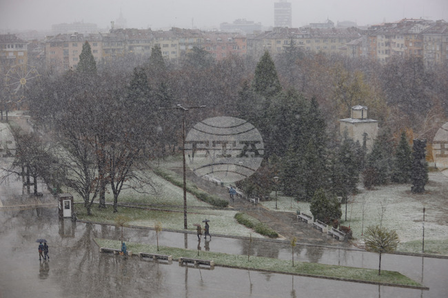 Общо 180 снегорина почистват улиците на София