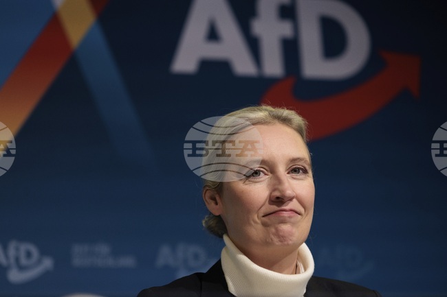 Лидерката на германската крайнодясна партия планира онлайн среща с Илон Мъск