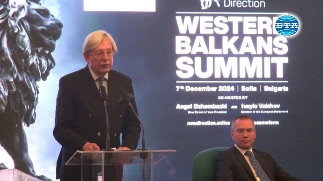 Страните от Западните Балкани споделят общи ценности и са направили много за света, заяви бившият докладчик на ЕП за България в София