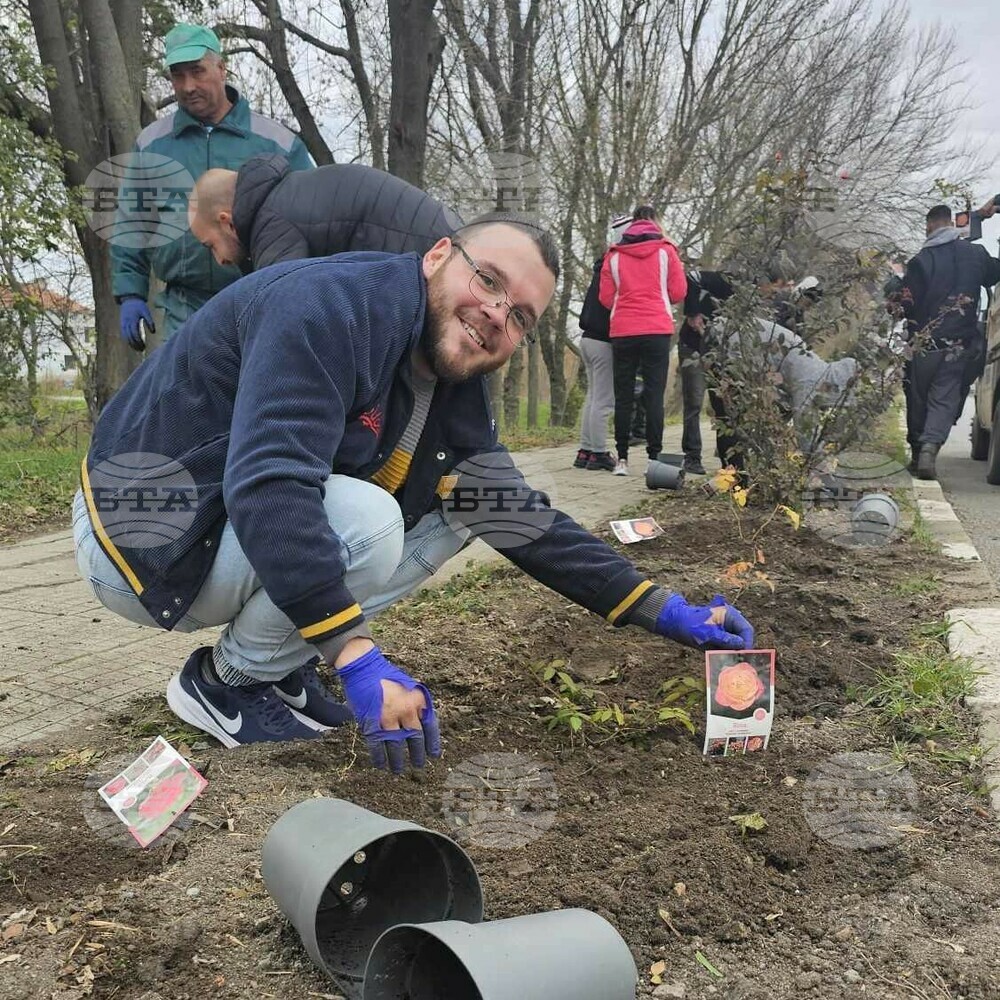 Новозасадени 700 рози красят тунджанското село Роза