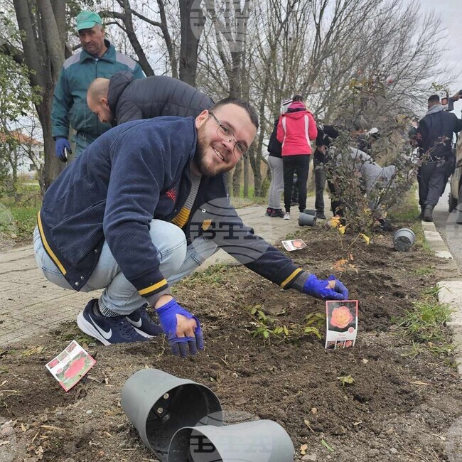 Новозасадени 700 рози красят тунджанското село Роза