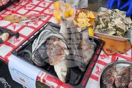 Шабла - Празник на рибената чорба