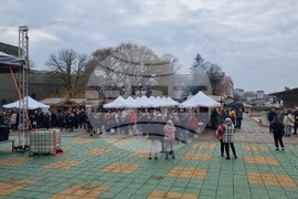 Шабла - Празник на рибената чорба