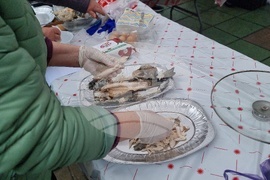 Шабла - Празник на рибената чорба