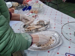 Шабла - Празник на рибената чорба