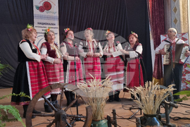 Село Медовина - фестивал „Никулуденско веселие“