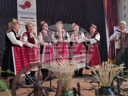 Село Медовина - фестивал „Никулуденско веселие“