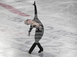 France Figure Skating