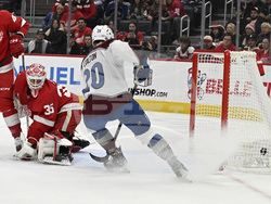 Avalanche Red Wings Hockey