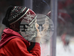 Avalanche Red Wings Hockey