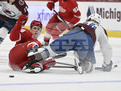 Avalanche Red Wings Hockey
