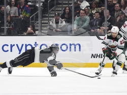 Wild Kings Hockey
