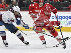 Avalanche Red Wings Hockey