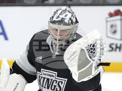 Wild Kings Hockey